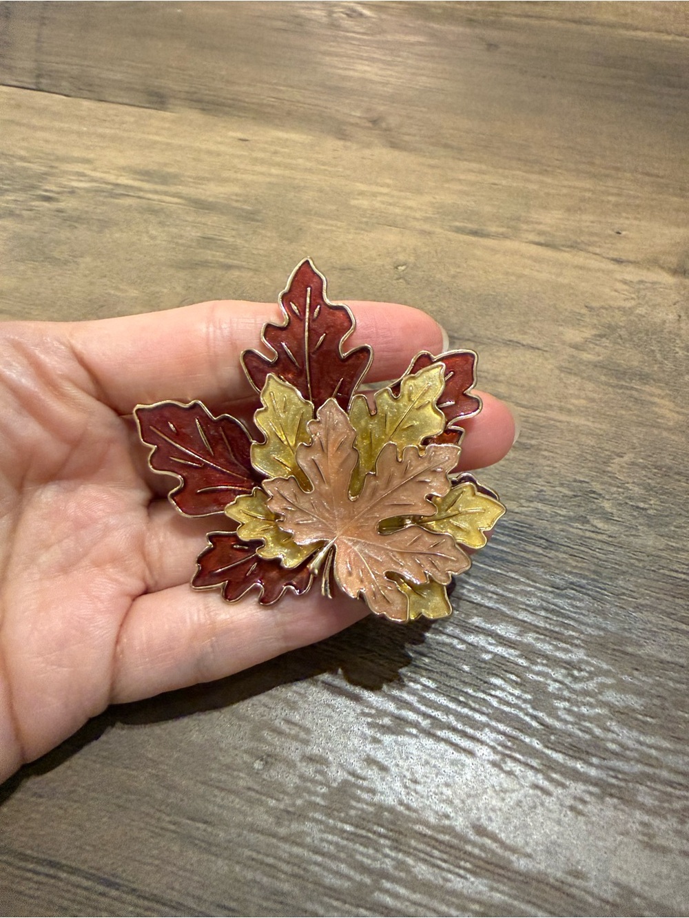 The Symbol Of Canada Large Maple Leaf Brooch
